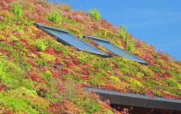 Rise End living roof systems